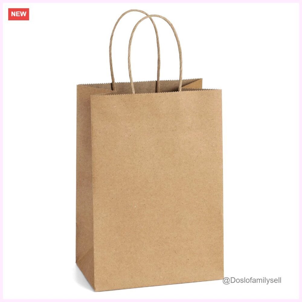 Recyclable Kraft Paper Gift Bags with Handles 50 Pack
